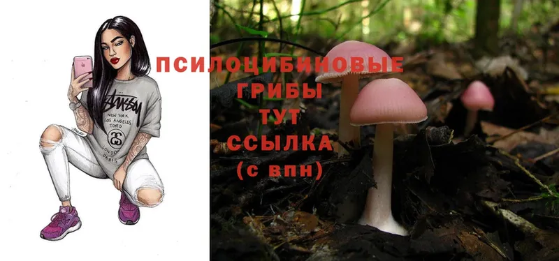 гидра онион  Гремячинск  Псилоцибиновые грибы Magic Shrooms  купить наркотики цена 